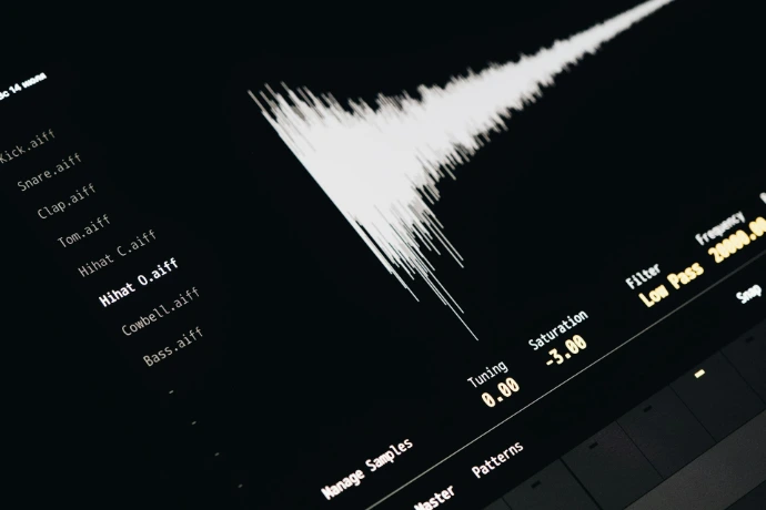A computer screen with a sound wave on it
